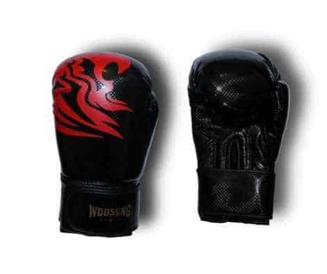 Boxin Gloves