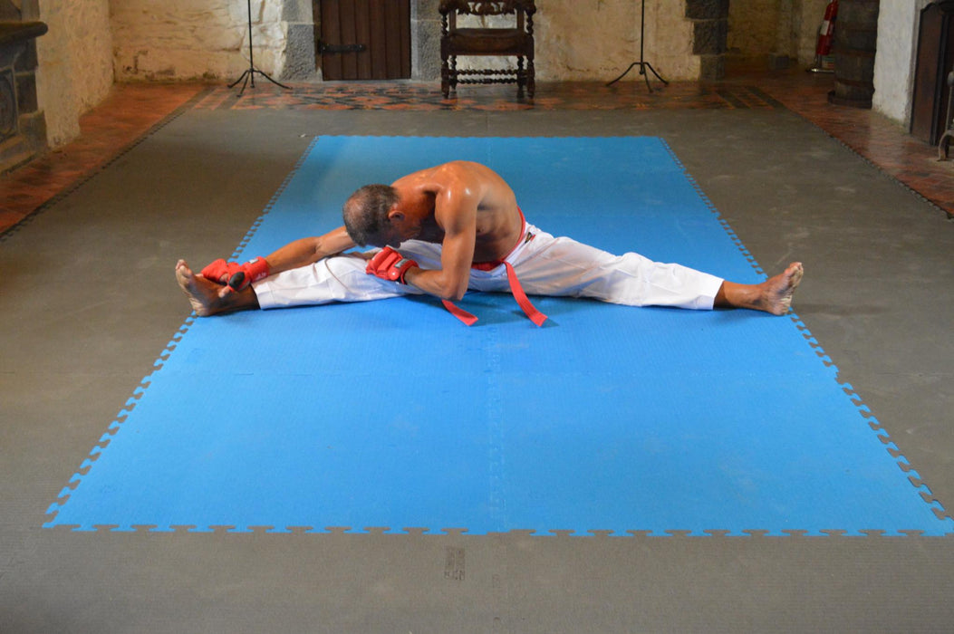 IMPACT TATAMI 30mm 1m x 1m XPE -NO SMELL- Red/Blue Jigsaw Mat