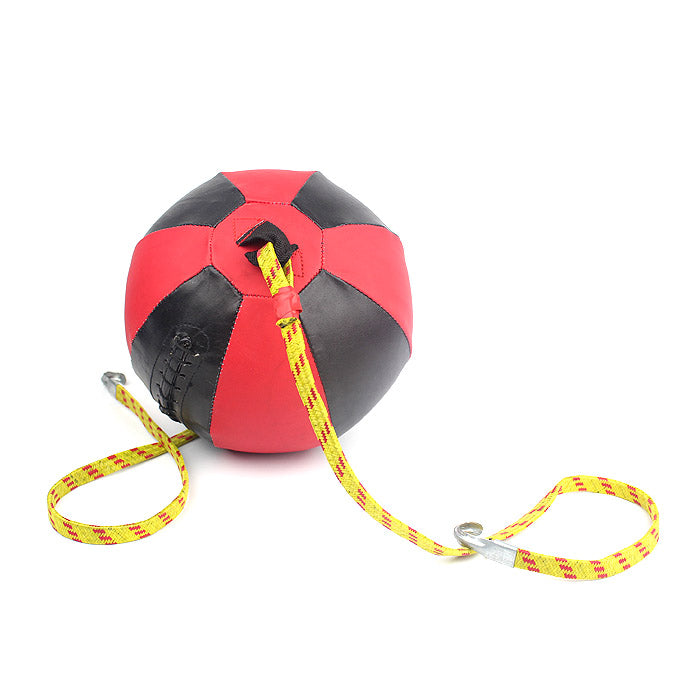 Wall to Ceiling Speed Ball